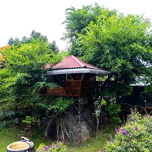 5* Hotel Treehouse Tabor Hills